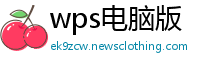 wps电脑版